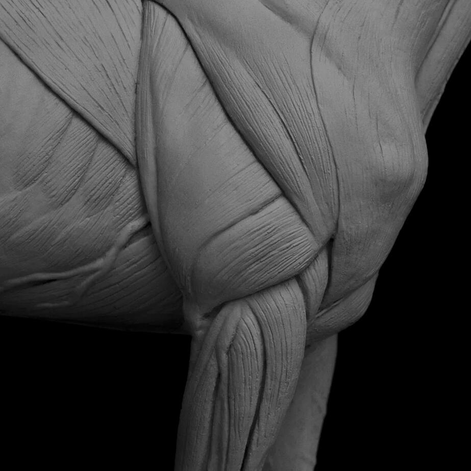 Detail.